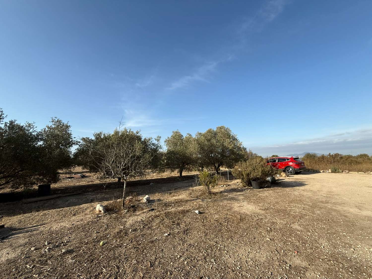 Legal Rustic Finca 125 m² with 6.000 m² Plot in El Molar, Elche