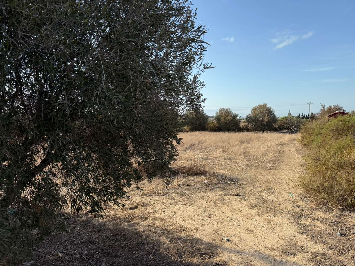 Legal Rustic Finca 125 m² with 6.000 m² Plot in El Molar, Elche