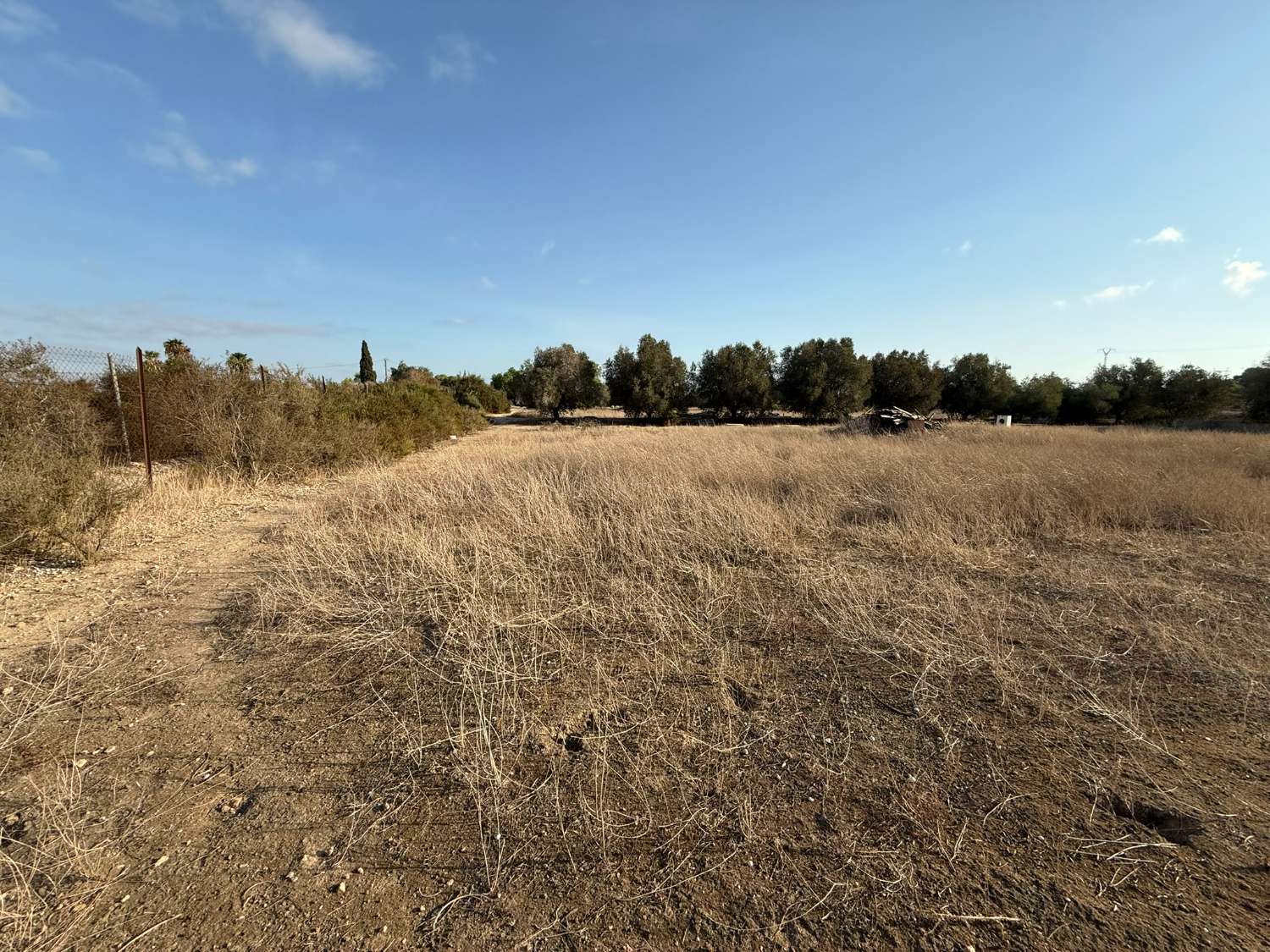 Legal Rustic Finca 125 m² with 6.000 m² Plot in El Molar, Elche