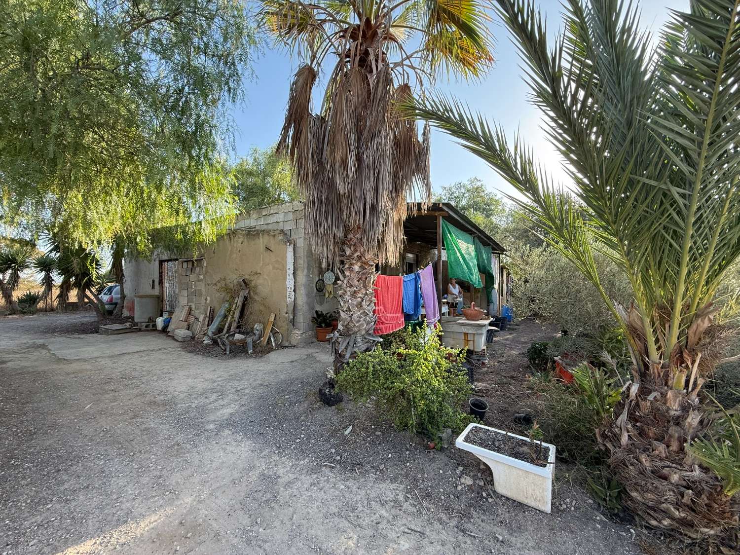 Legal Rustic Finca 125 m² with 6.000 m² Plot in El Molar, Elche