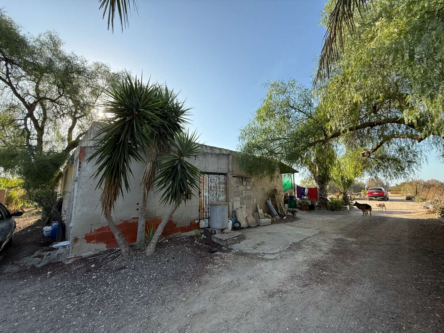 Legal Rustic Finca 125 m² with 6.000 m² Plot in El Molar, Elche