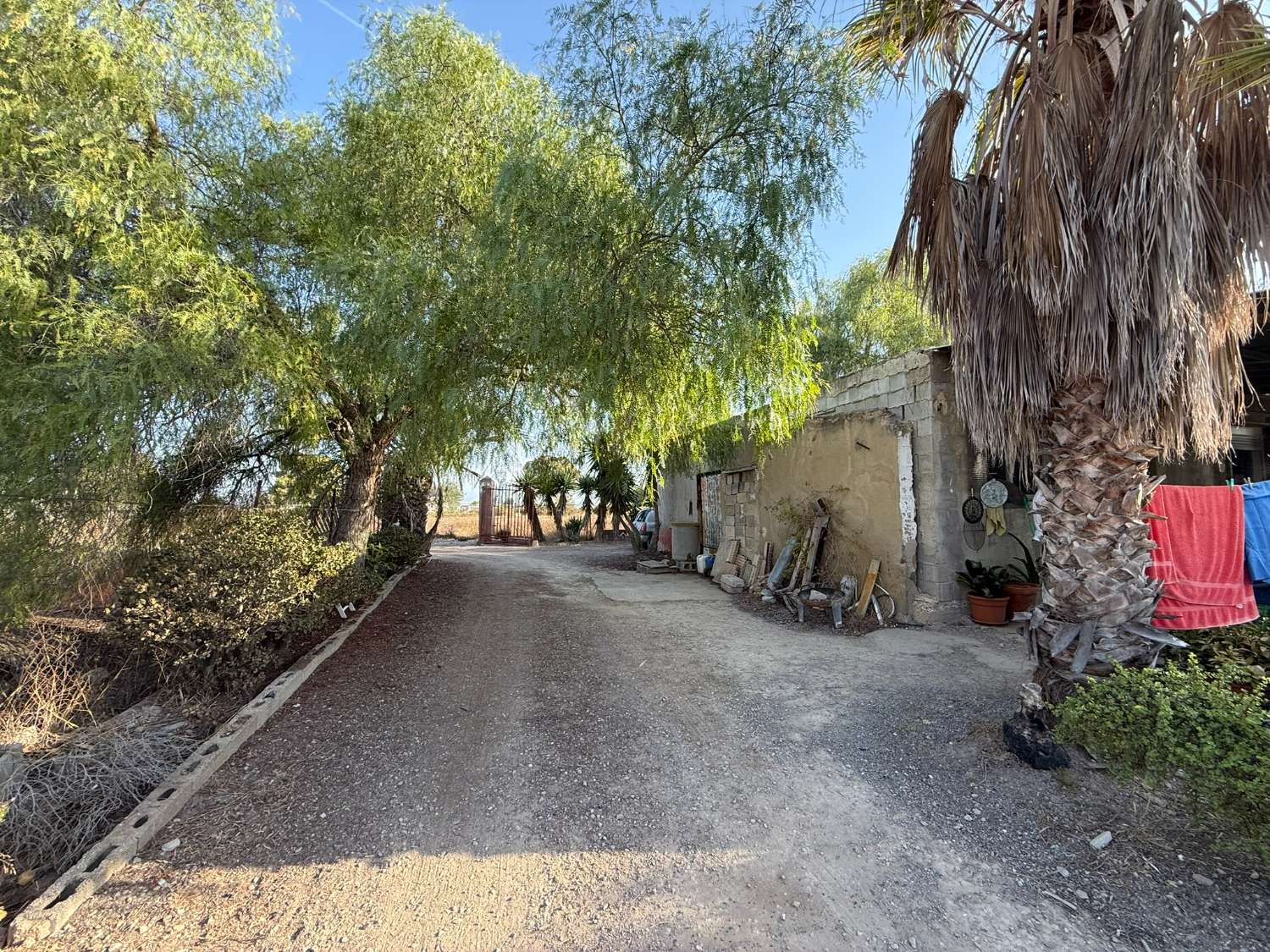 Legal Rustic Finca 125 m² with 6.000 m² Plot in El Molar, Elche