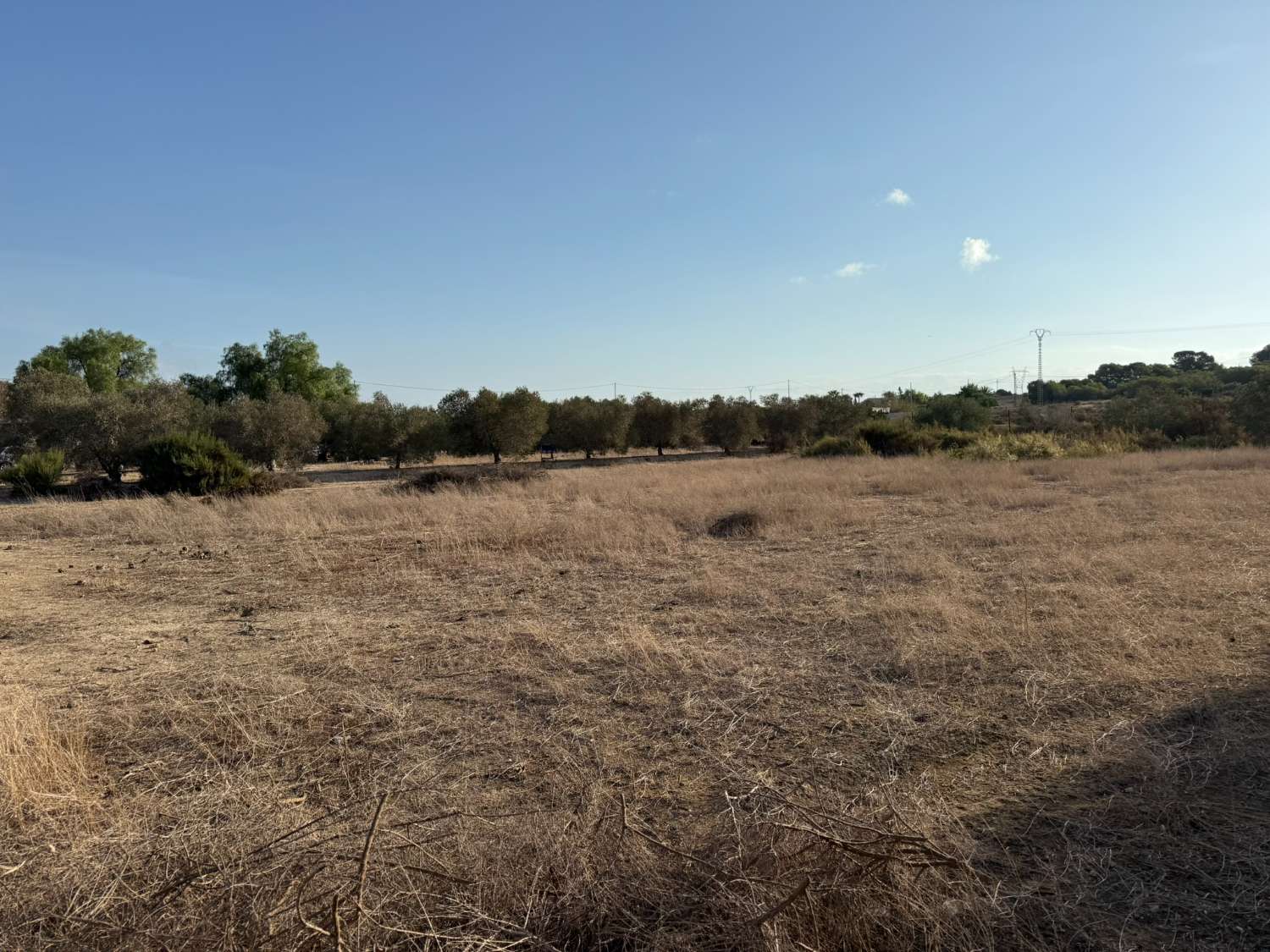 Legal Rustic Finca 125 m² with 6.000 m² Plot in El Molar, Elche