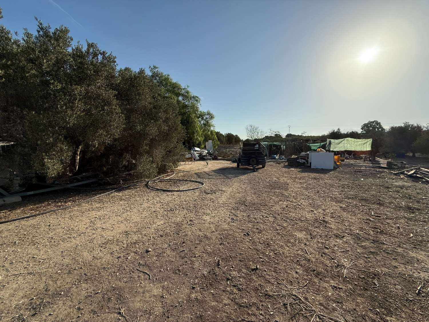 Legal Rustic Finca 125 m² with 6.000 m² Plot in El Molar, Elche