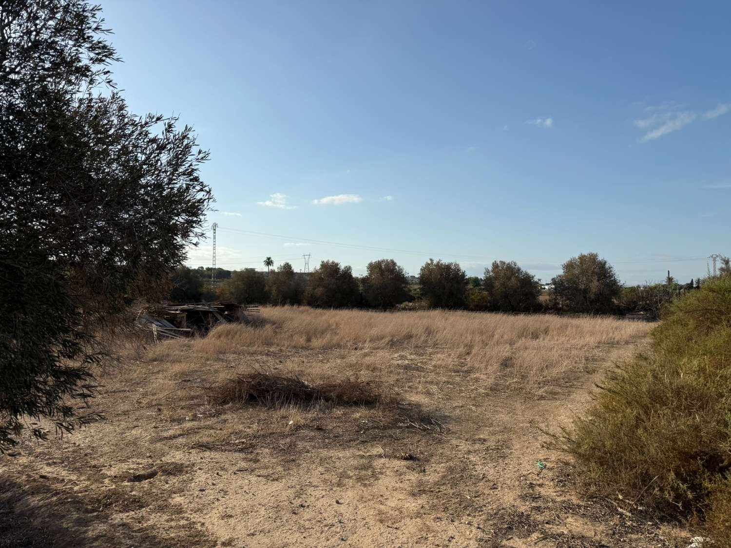 Legal Rustic Finca 125 m² with 6.000 m² Plot in El Molar, Elche