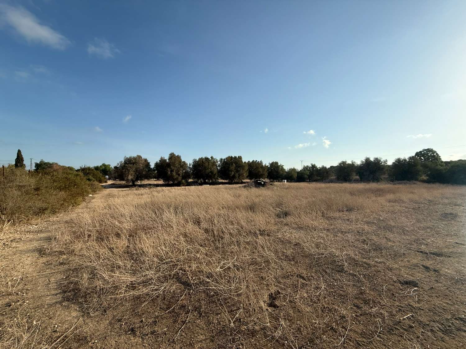 Legal Rustic Finca 125 m² with 6.000 m² Plot in El Molar, Elche