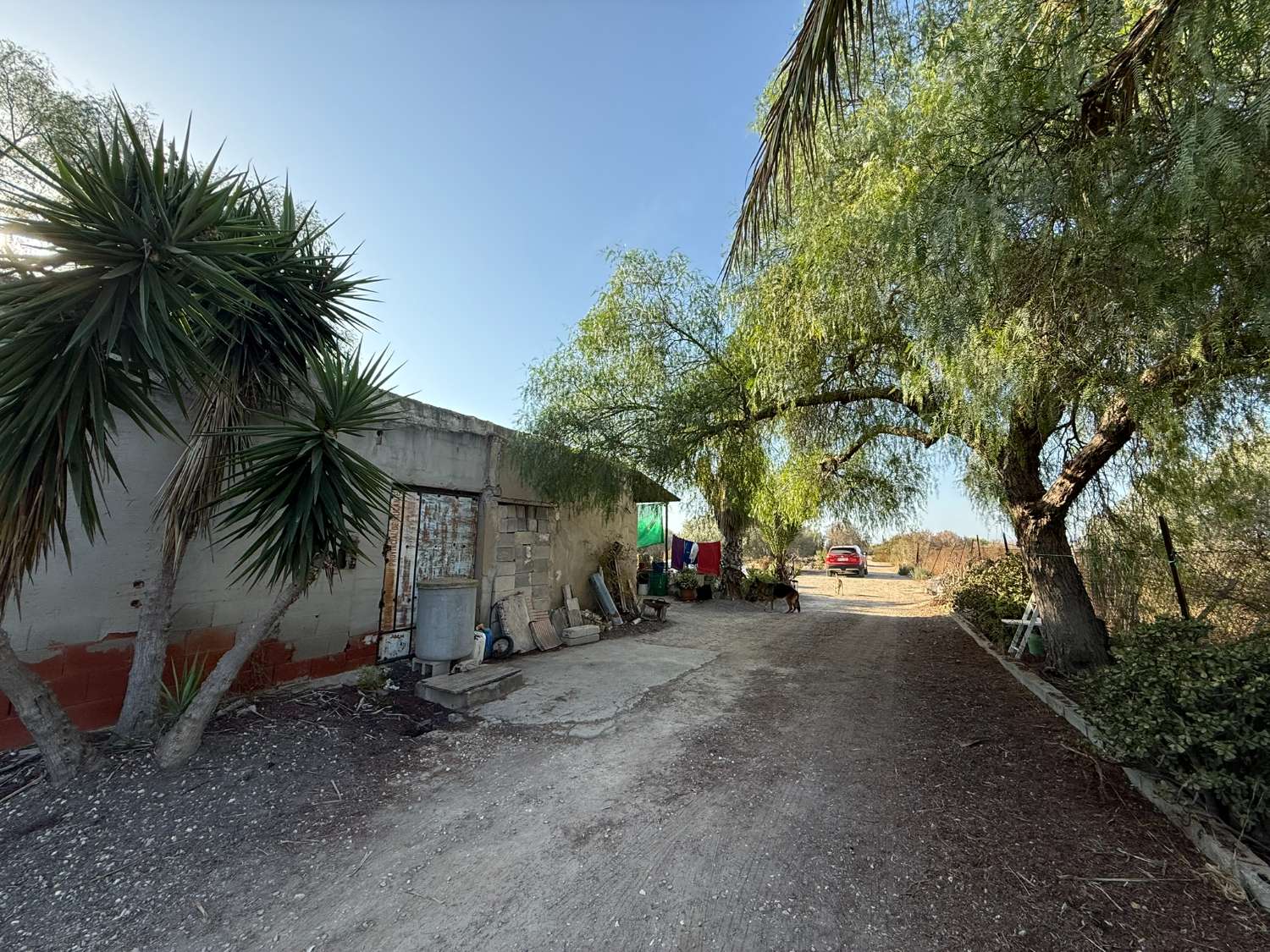 Legal Rustic Finca 125 m² with 6.000 m² Plot in El Molar, Elche