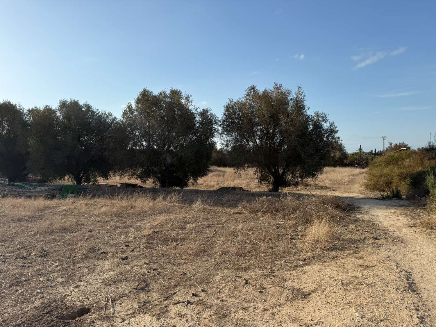 Legal Rustic Finca 125 m² with 6.000 m² Plot in El Molar, Elche