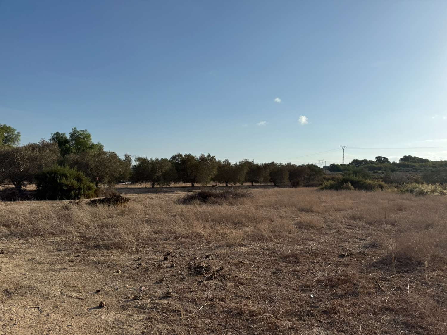 Legal Rustic Finca 125 m² with 6.000 m² Plot in El Molar, Elche