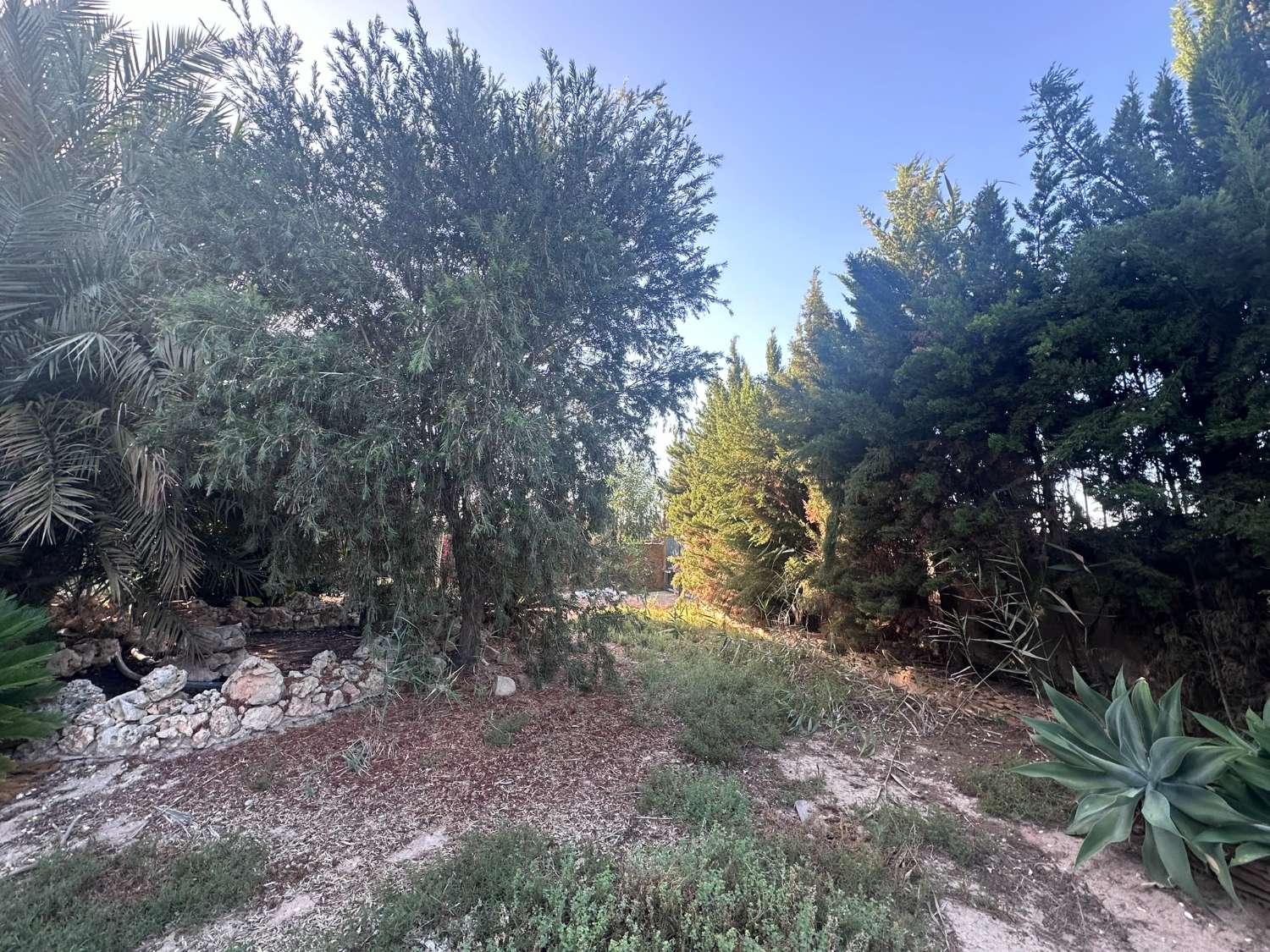 Rustic Manor for Sale in Catral – Huge Potential, Ideal for Rural Tourism or Events Venue