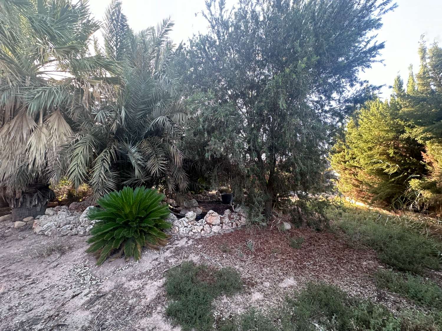 Rustic Manor for Sale in Catral – Huge Potential, Ideal for Rural Tourism or Events Venue