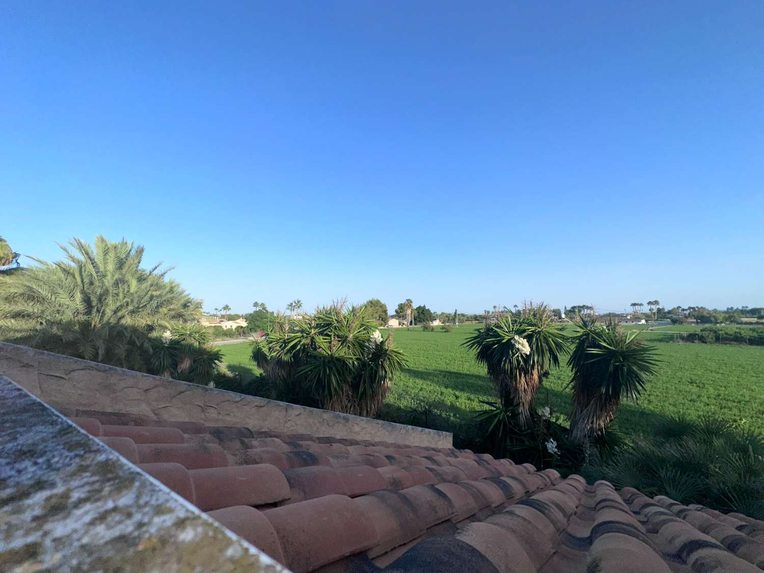 Rustic Manor for Sale in Catral – Huge Potential, Ideal for Rural Tourism or Events Venue