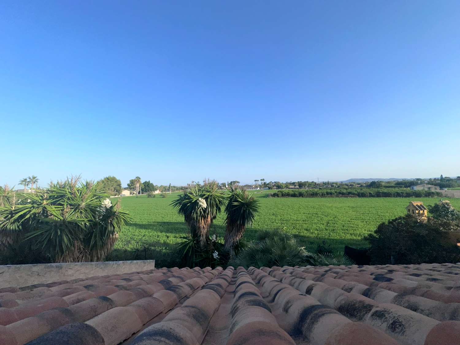 Rustic Manor for Sale in Catral – Huge Potential, Ideal for Rural Tourism or Events Venue