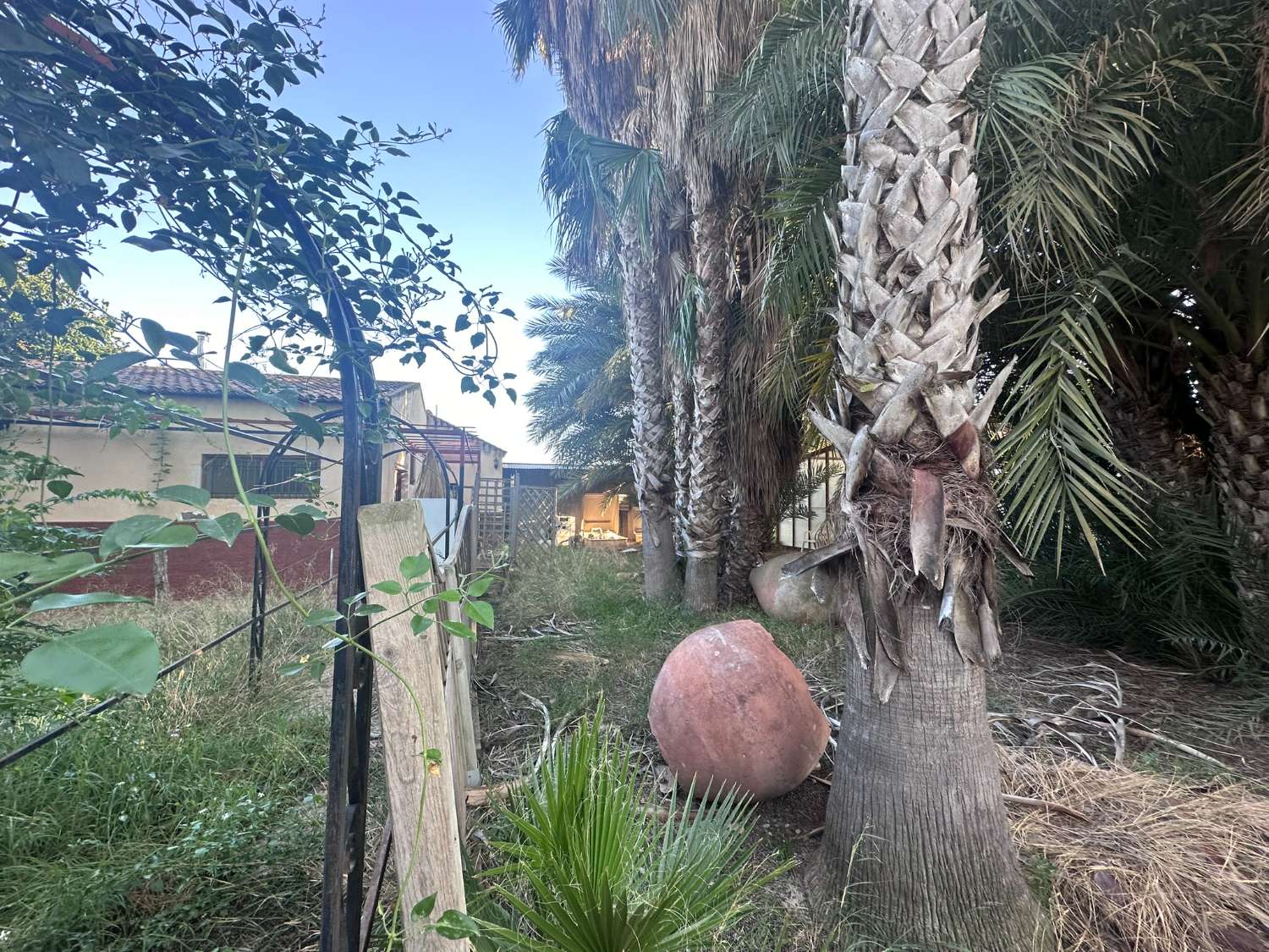 Rustic Manor for Sale in Catral – Huge Potential, Ideal for Rural Tourism or Events Venue