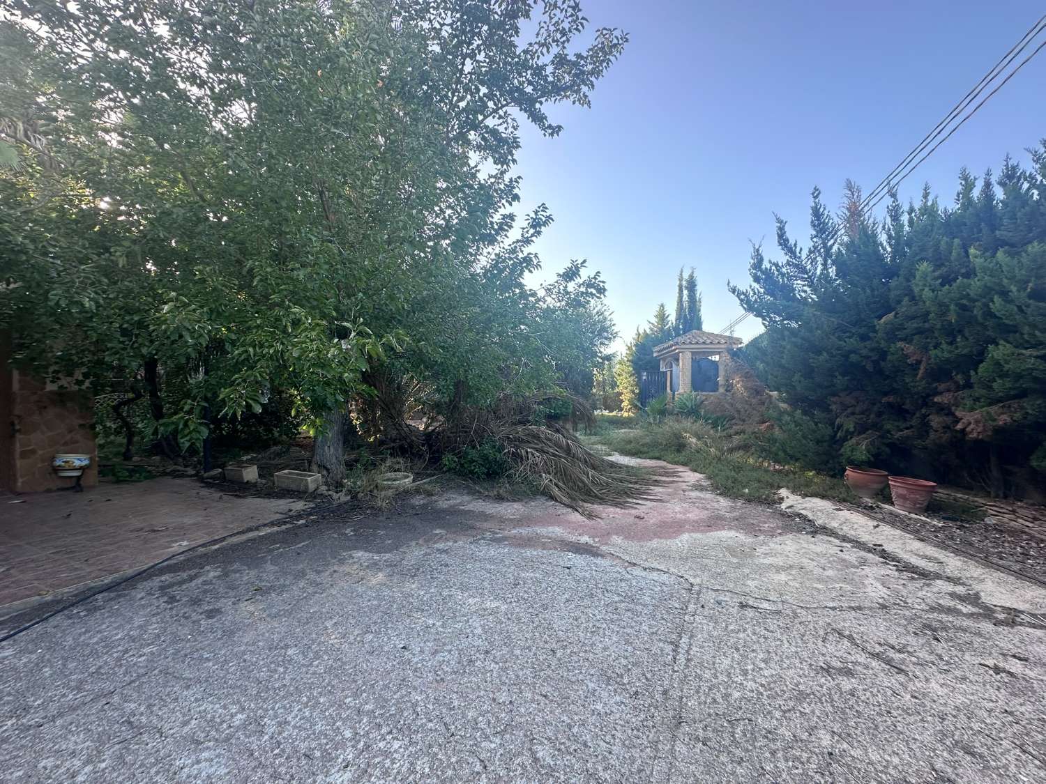 Rustic Manor for Sale in Catral – Huge Potential, Ideal for Rural Tourism or Events Venue