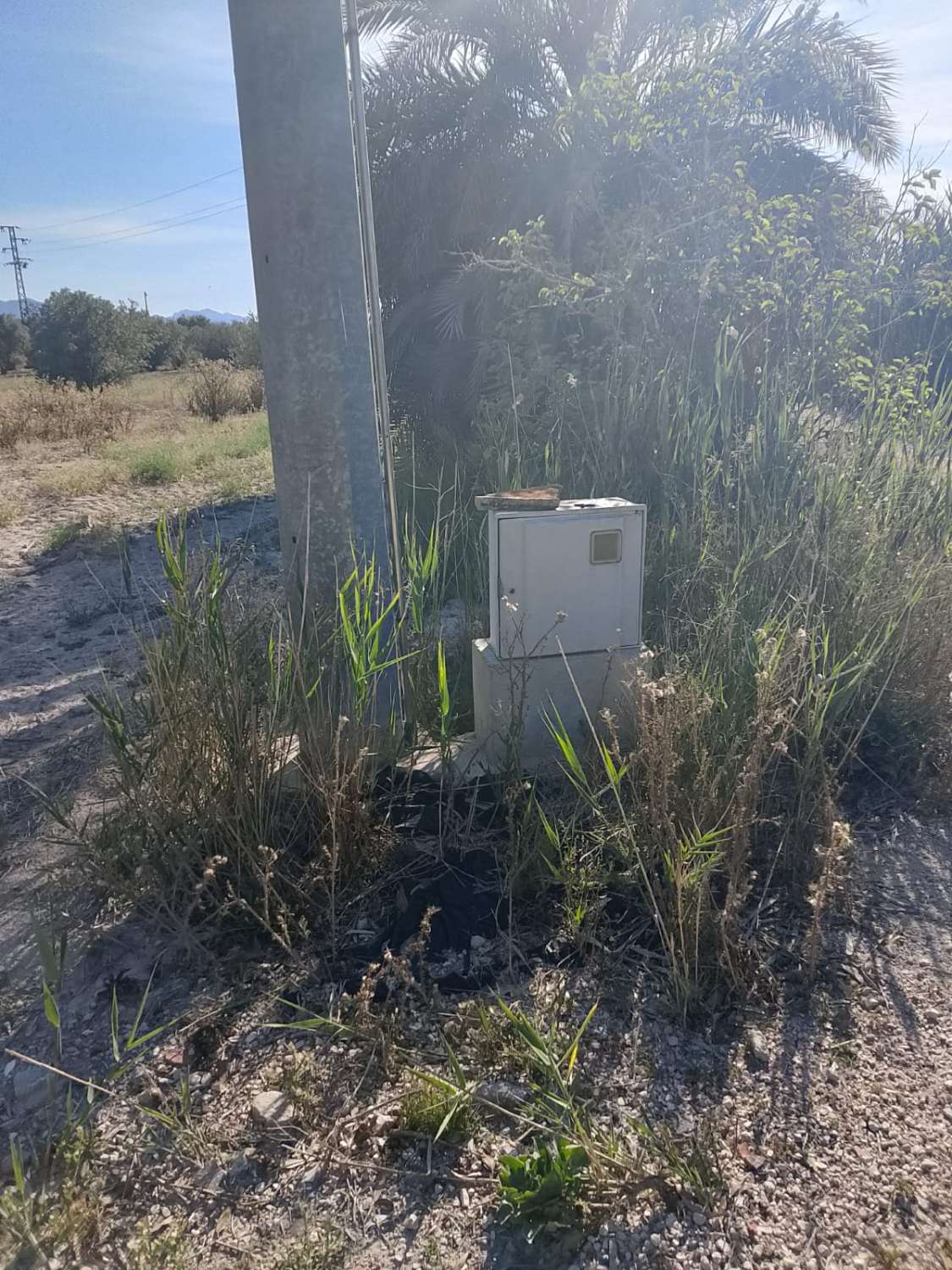 Large Rural Plot with 300m² Warehouse & Endless Potential | El Realengo, Crevillente