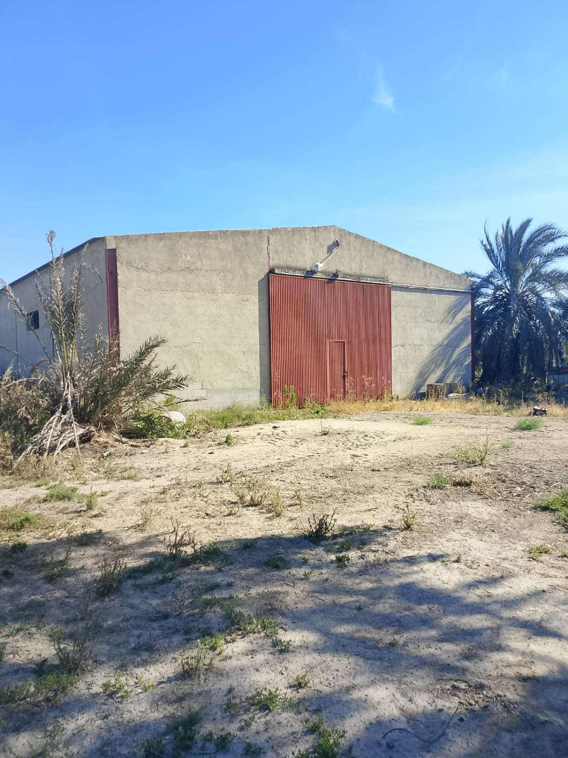 Large Rural Plot with 300m² Warehouse & Endless Potential | El Realengo, Crevillente