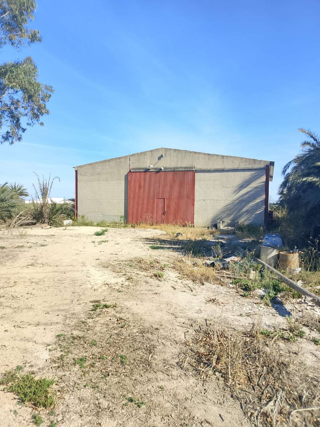 Large Rural Plot with 300m² Warehouse & Endless Potential | El Realengo, Crevillente