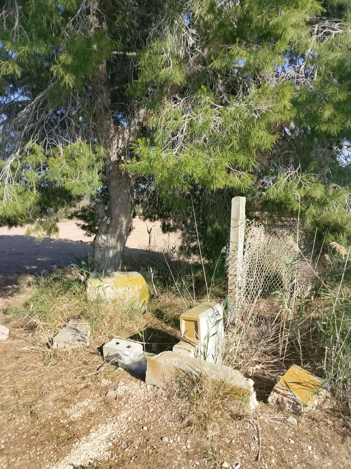 Large Rural Plot with 300m² Warehouse & Endless Potential | El Realengo, Crevillente
