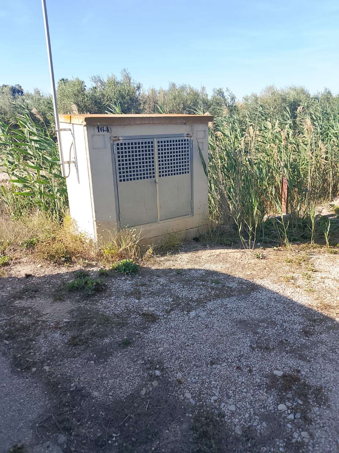 Large Rural Plot with 300m² Warehouse & Endless Potential | El Realengo, Crevillente