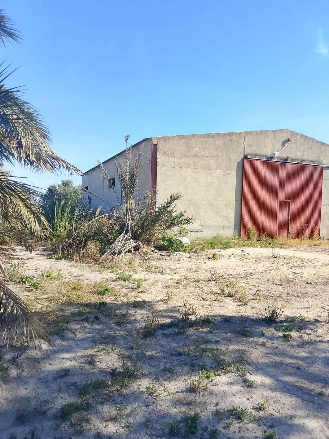 Large Rural Plot with 300m² Warehouse & Endless Potential | El Realengo, Crevillente
