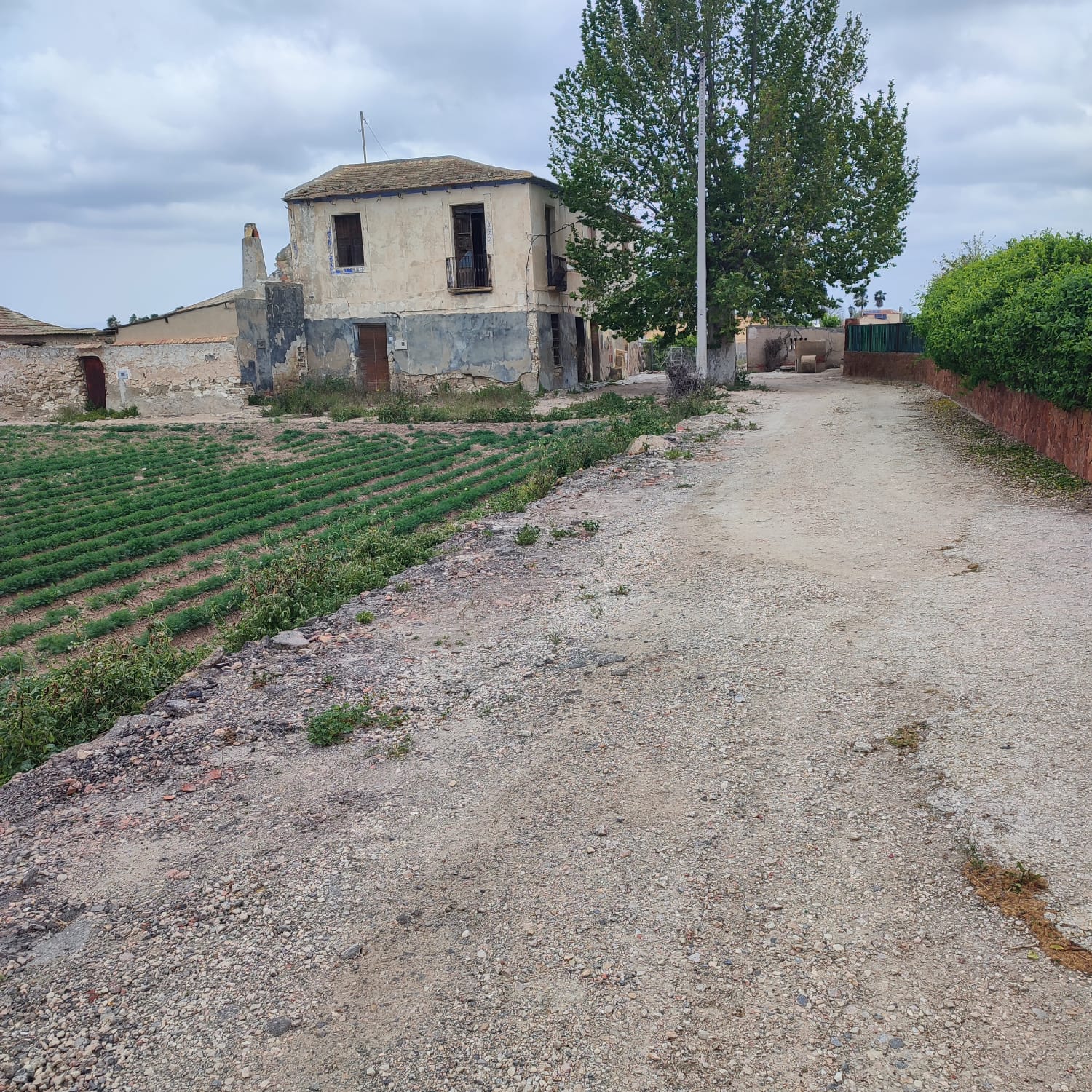 Country House for Renovation with 17,775 m² of Agricultural Land in the Dolores Countryside