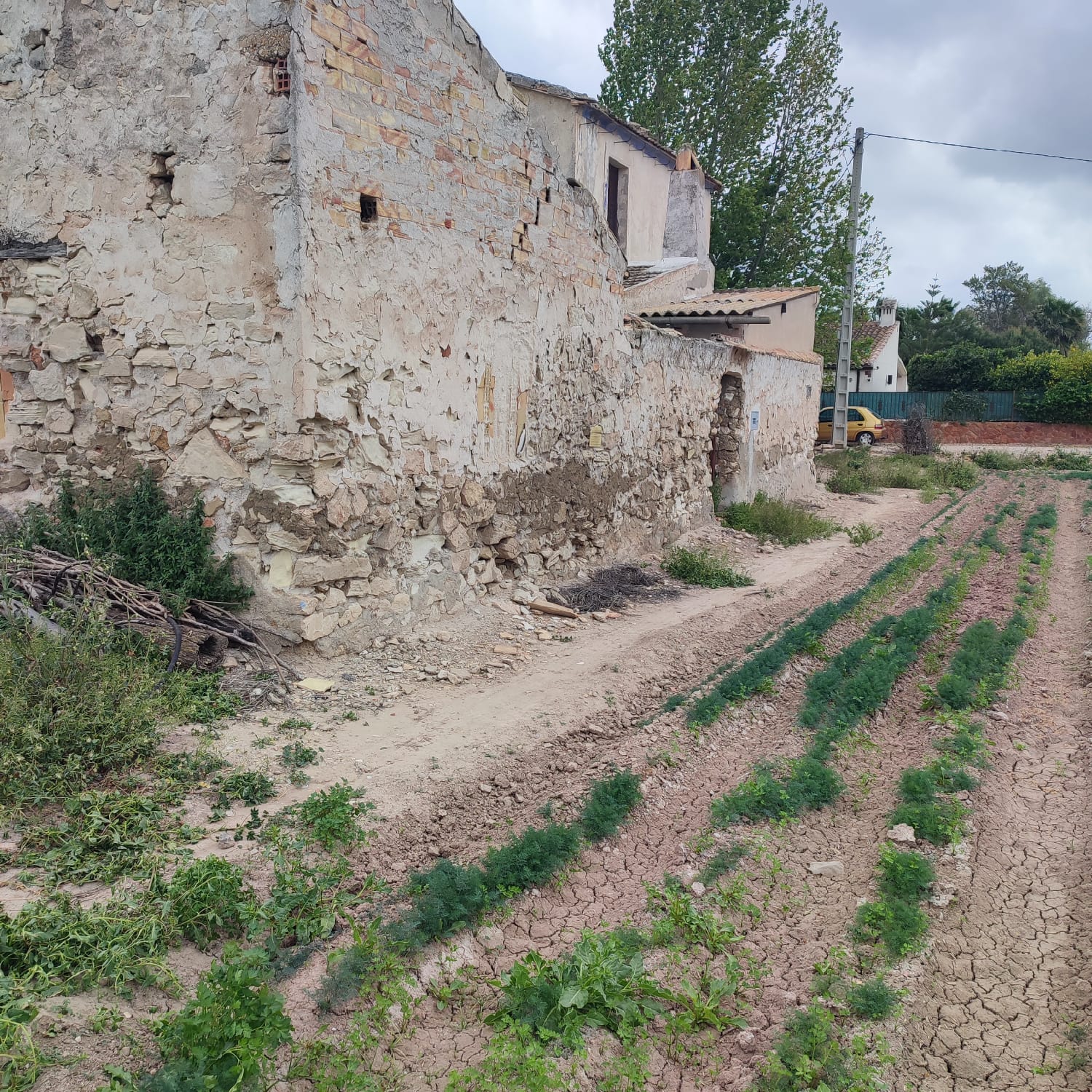 Country House for Renovation with 17,775 m² of Agricultural Land in the Dolores Countryside