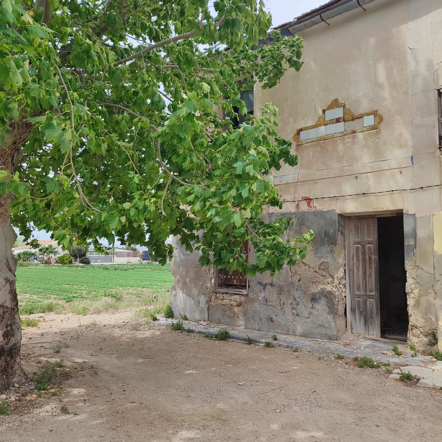 Country House for Renovation with 17,775 m² of Agricultural Land in the Dolores Countryside