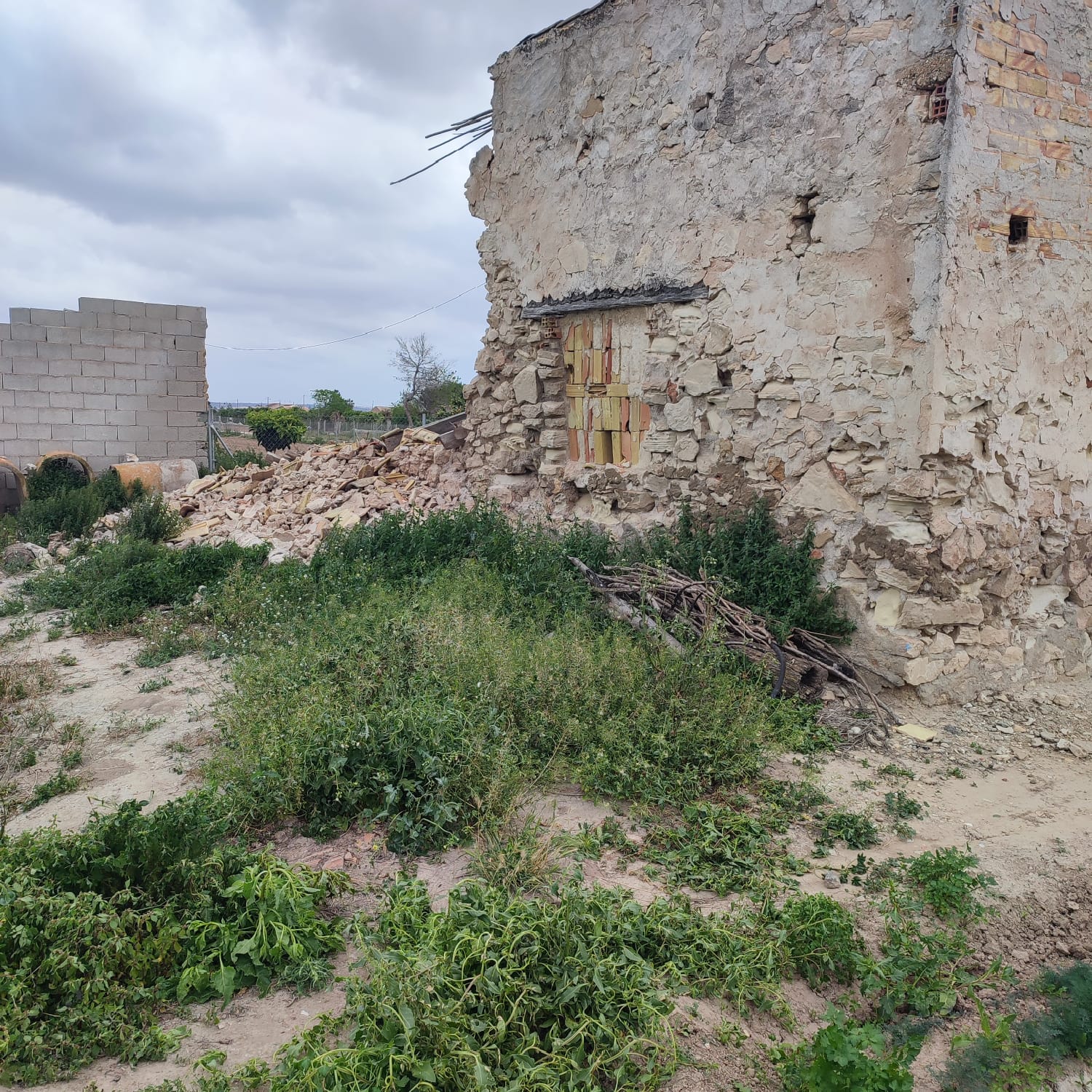 Country House for Renovation with 17,775 m² of Agricultural Land in the Dolores Countryside