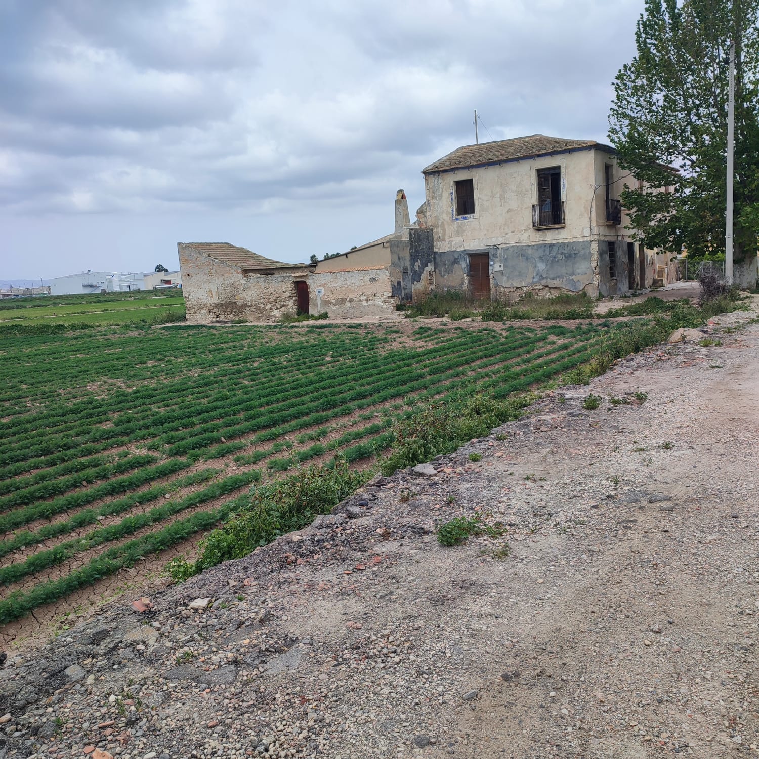 Country House for Renovation with 17,775 m² of Agricultural Land in the Dolores Countryside
