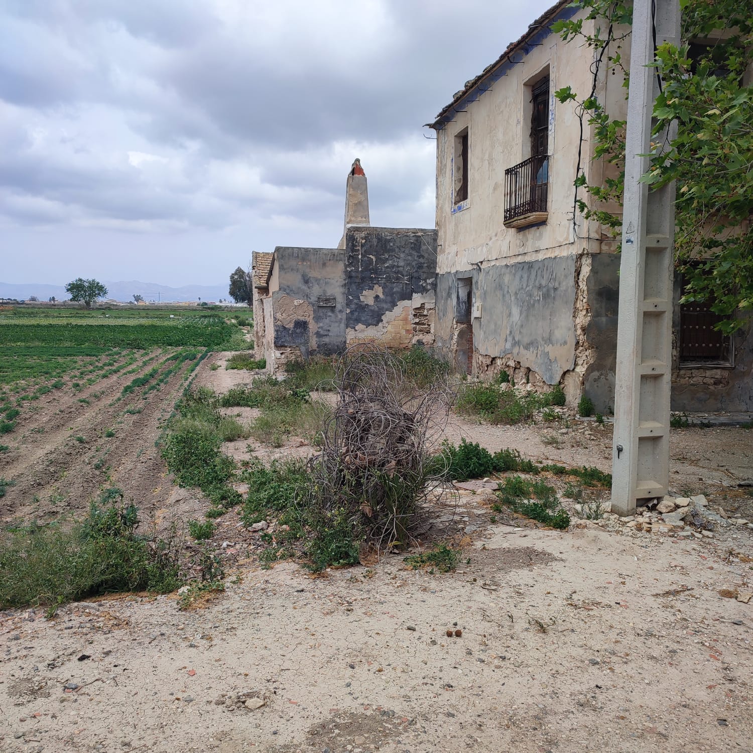 Country House for Renovation with 17,775 m² of Agricultural Land in the Dolores Countryside