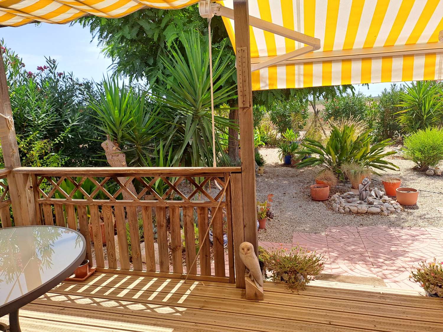 Rare Opportunity – Beautiful 2-Bedroom Wooden Cabin with Separate Guest Annex