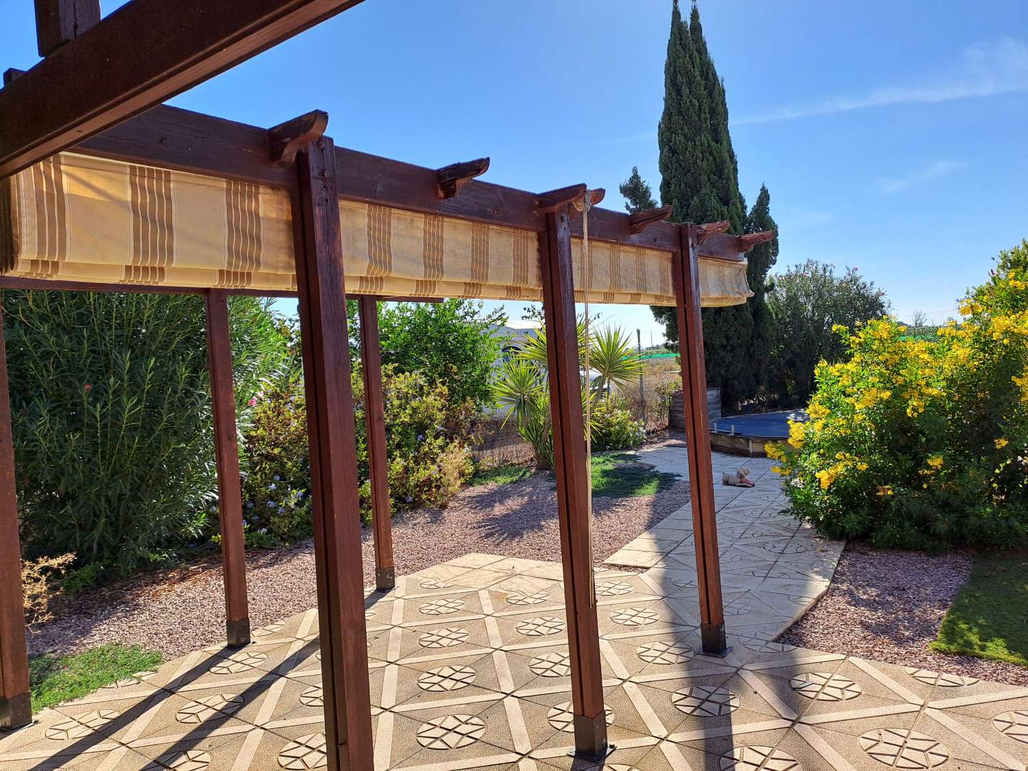 Spacious 1 Bedroom Wooden Cabin with Large Plot & Dip Pool