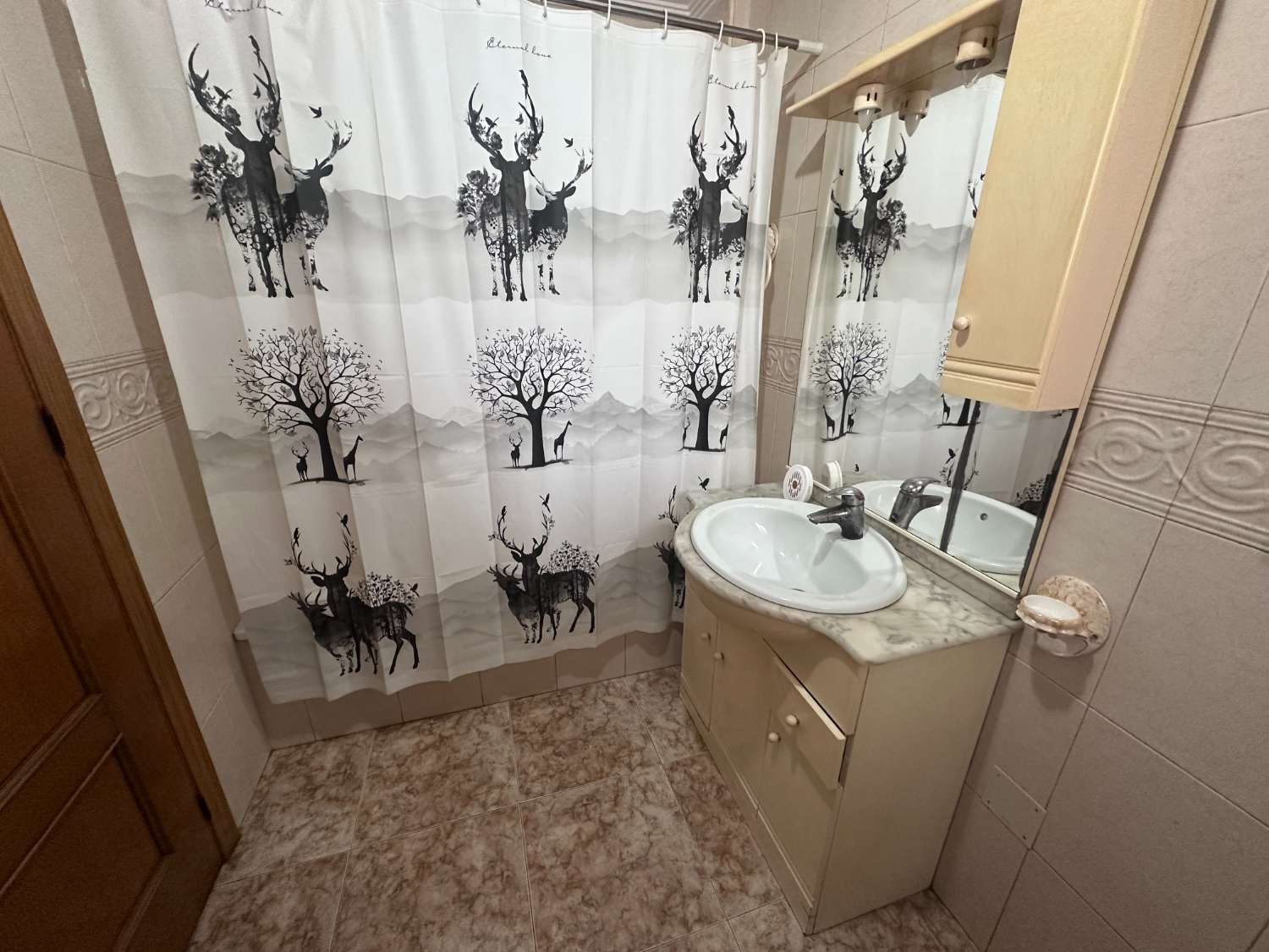 Spacious 4-Bedroom Apartment in the Heart of Catral