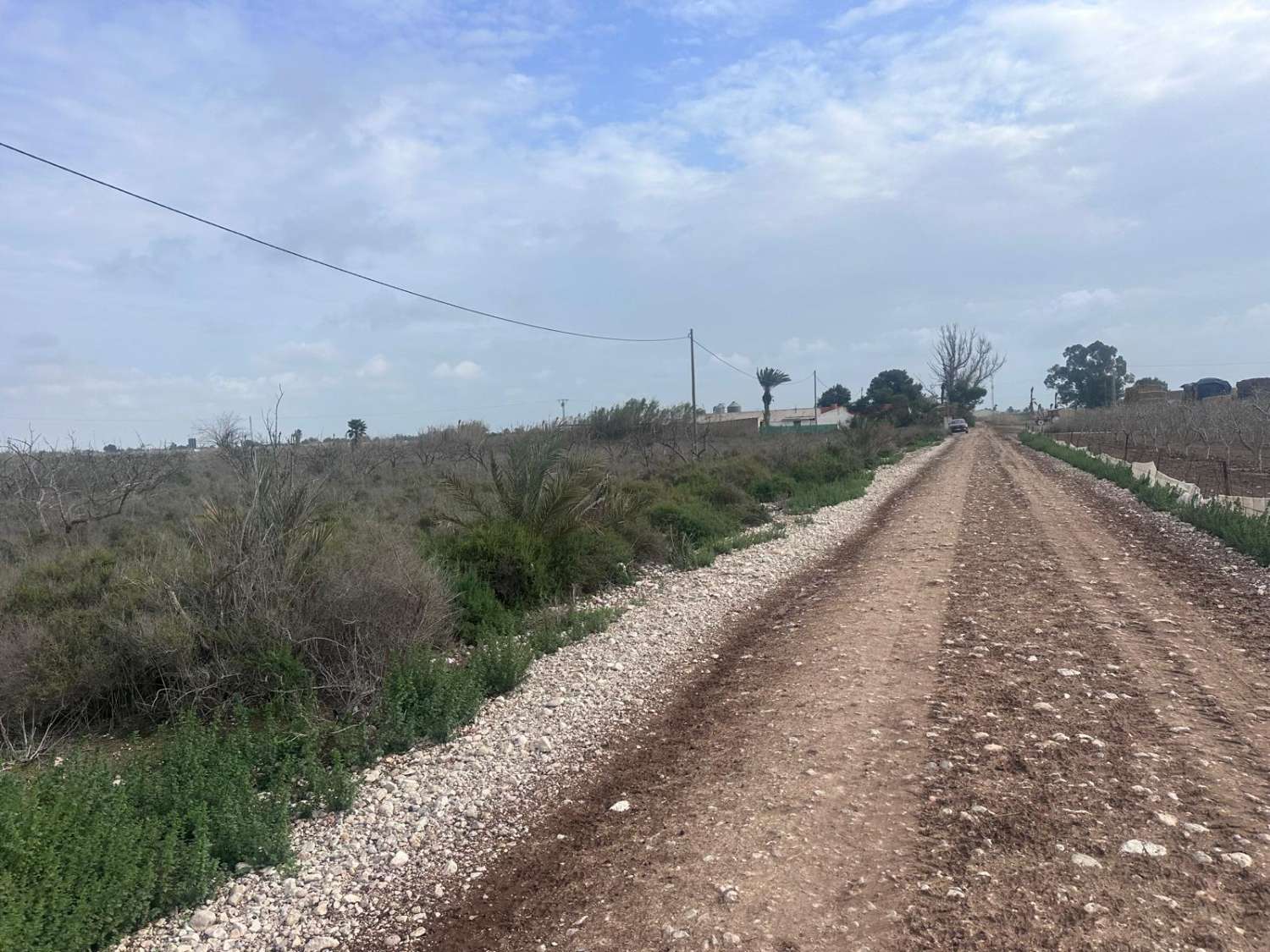 29,000 m² Rustic Land for Residential or Investment Use in El Realengo, Crevillente