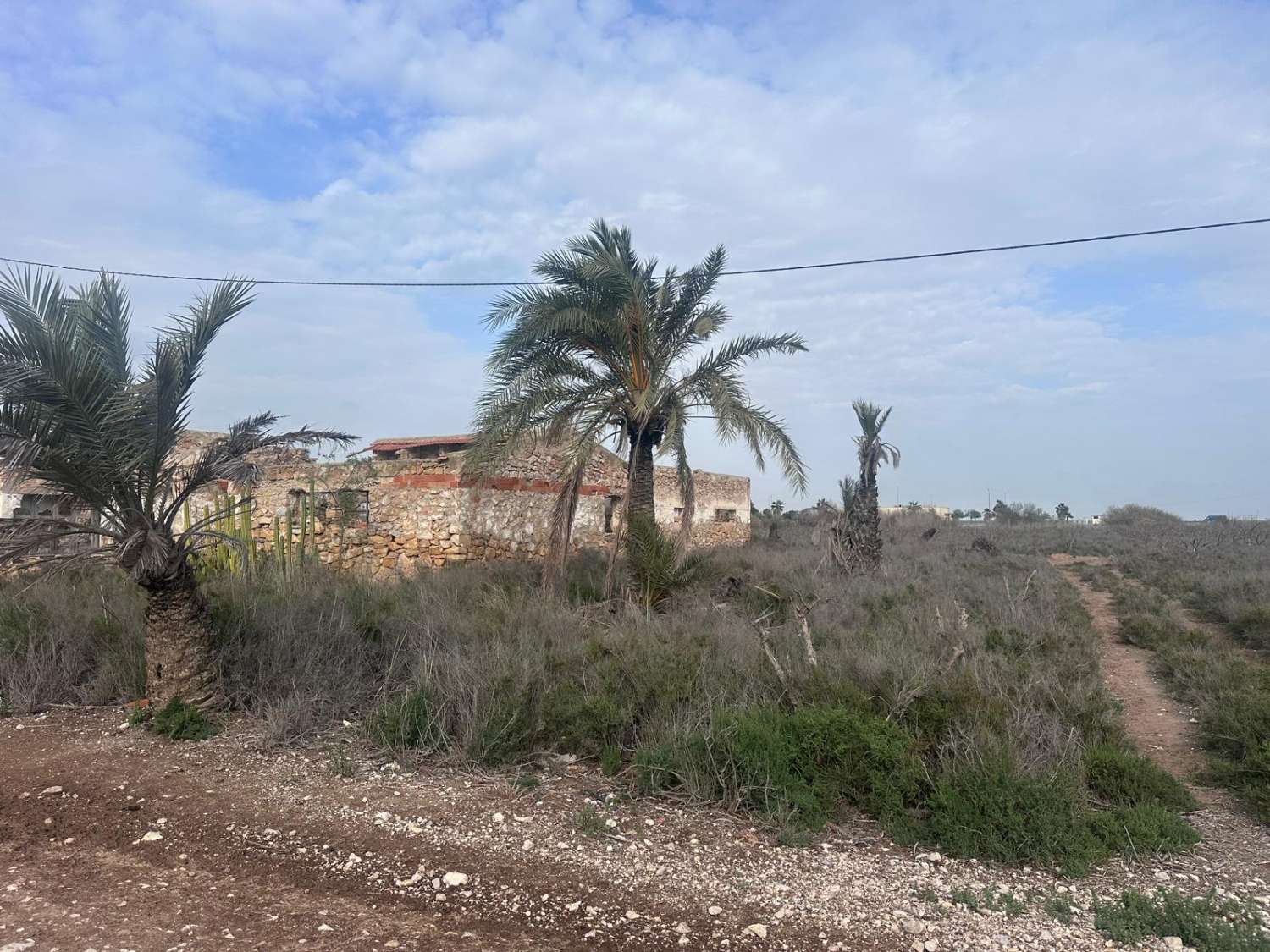 29,000 m² Rustic Land for Residential or Investment Use in El Realengo, Crevillente
