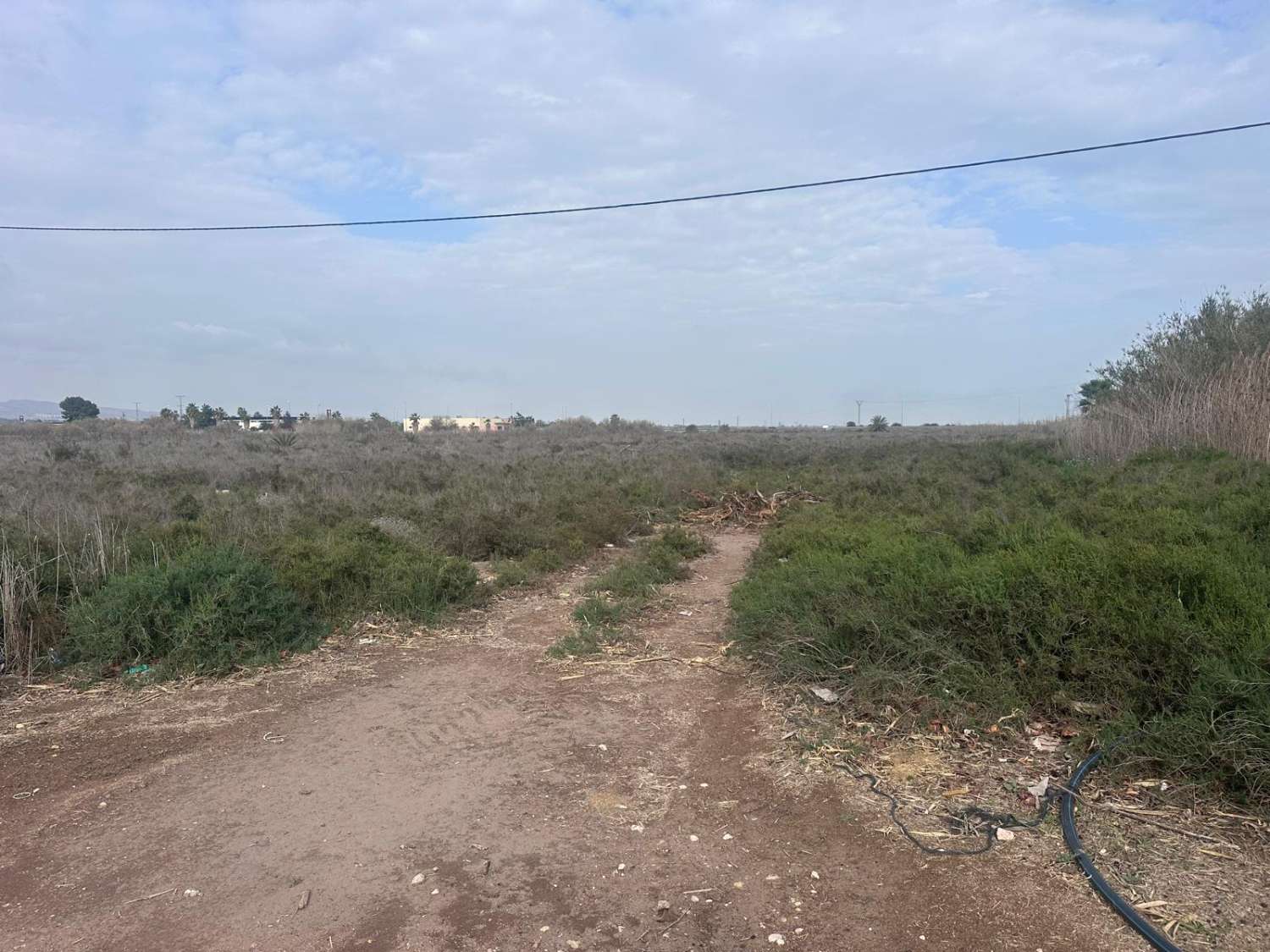 29,000 m² Rustic Land for Residential or Investment Use in El Realengo, Crevillente