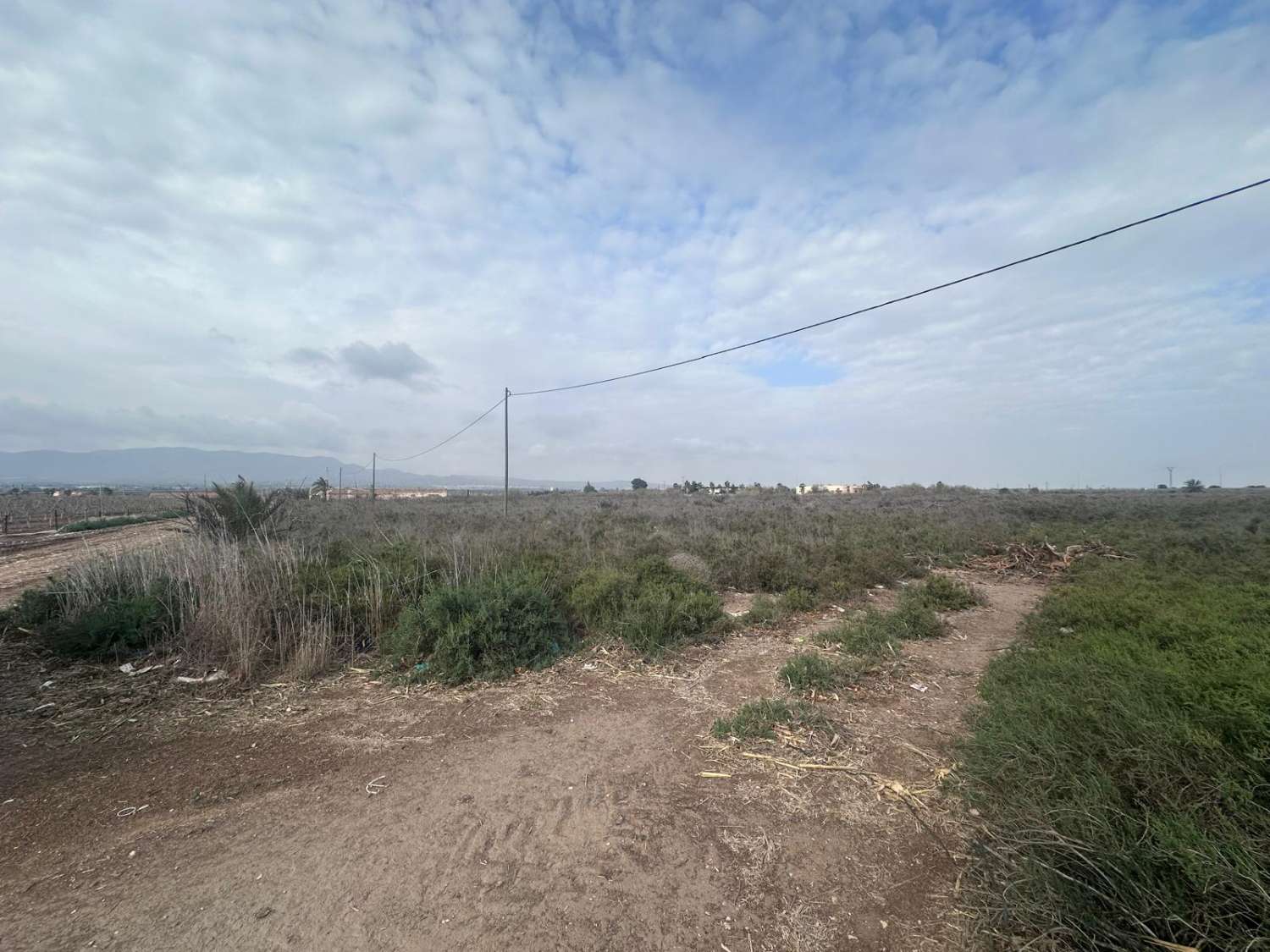 29,000 m² Rustic Land for Residential or Investment Use in El Realengo, Crevillente