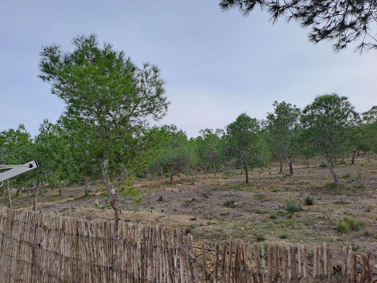 A fantastic fully equipped BK Senator with decking