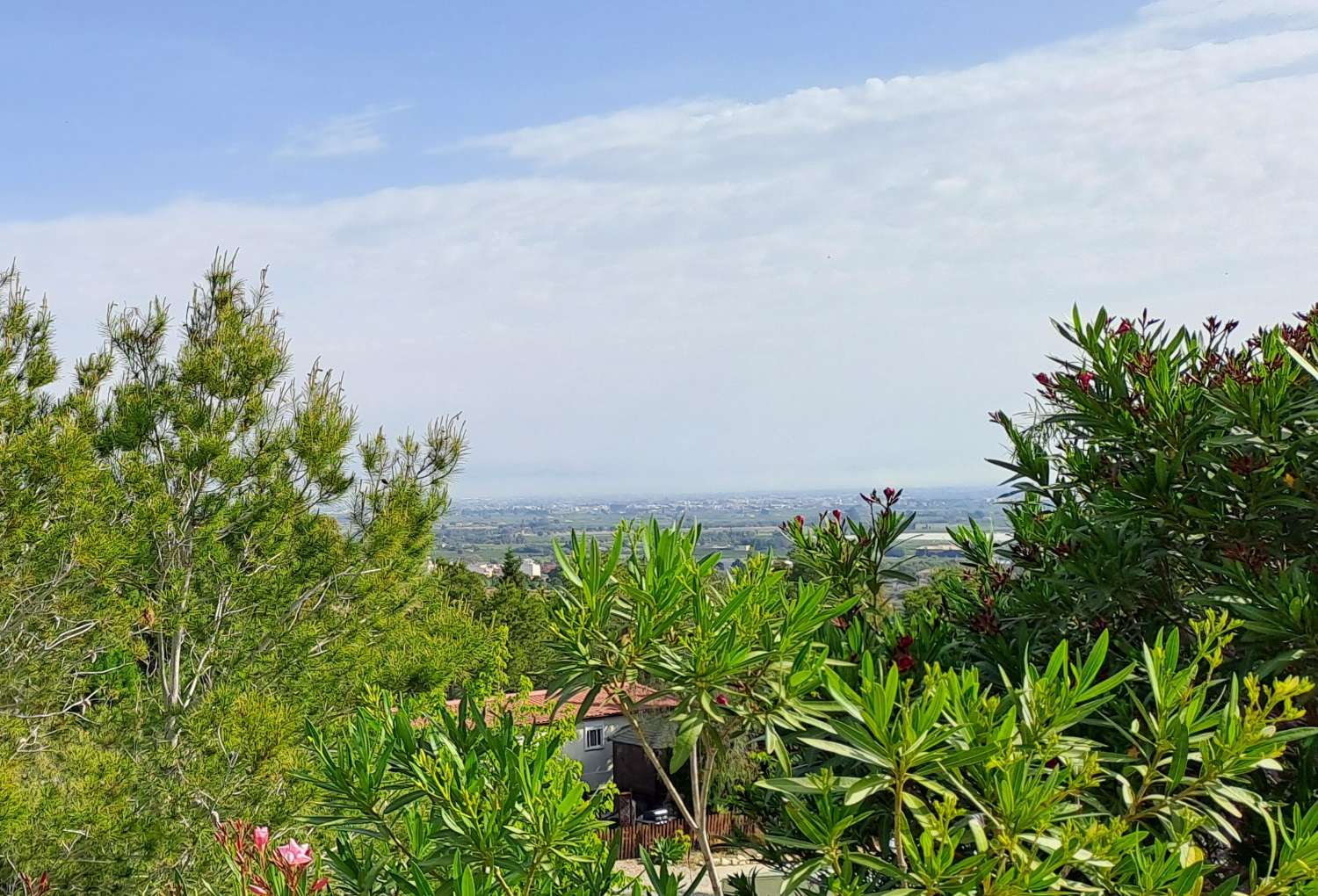 Fantastic Willeby Vogue with communal pool and bar