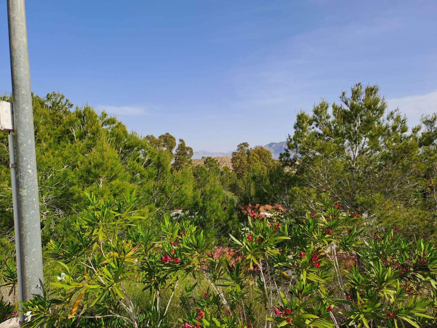 Fantastic Willeby Vogue with communal pool and bar