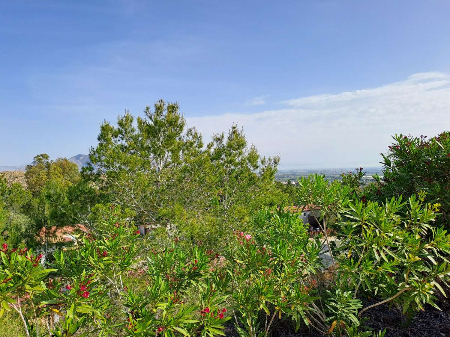 Fantastic Willeby Vogue with communal pool and bar