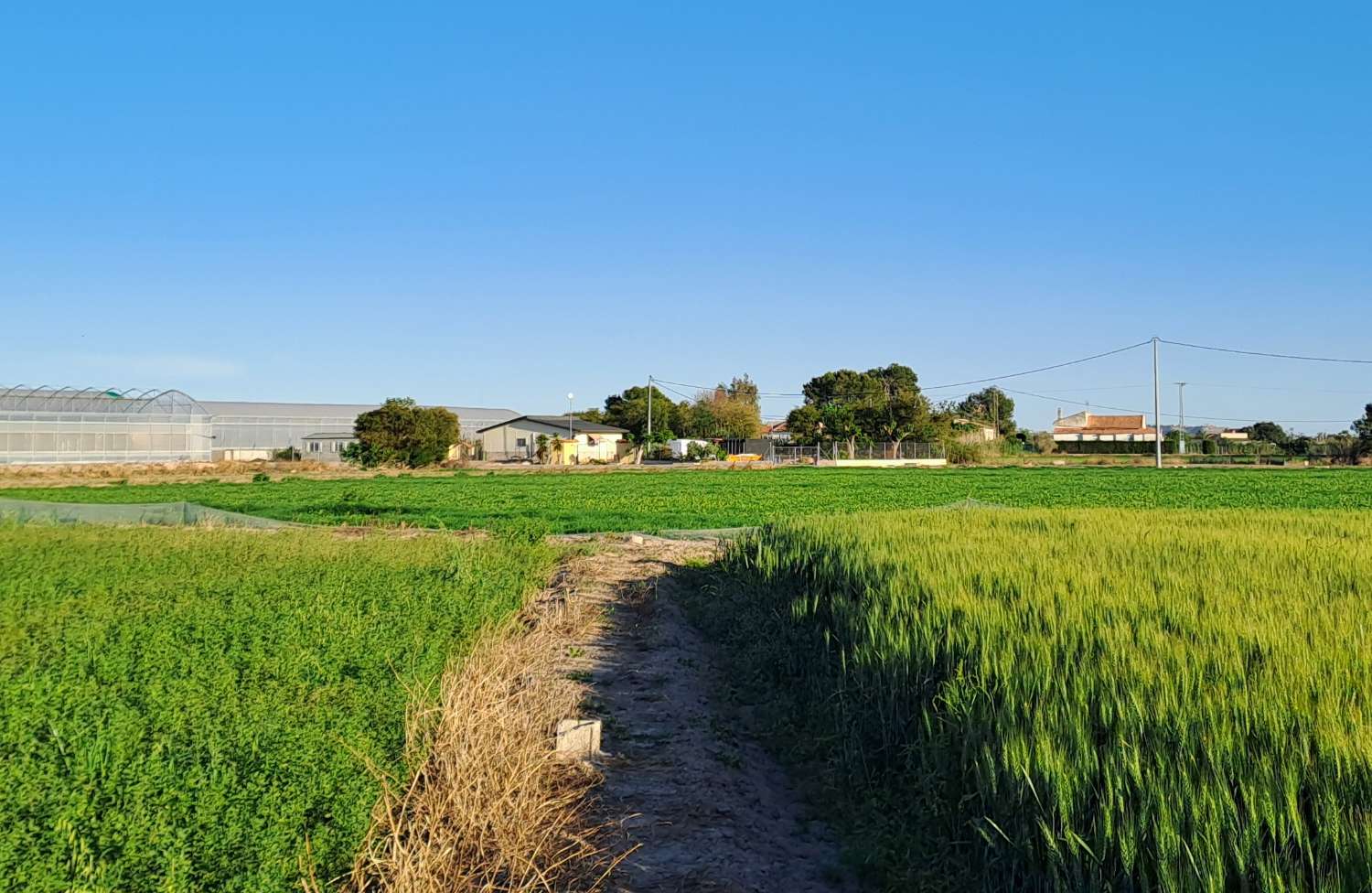 Beautiful Countryside Home with Guest Accommodation on a Private 1,500m² Plot