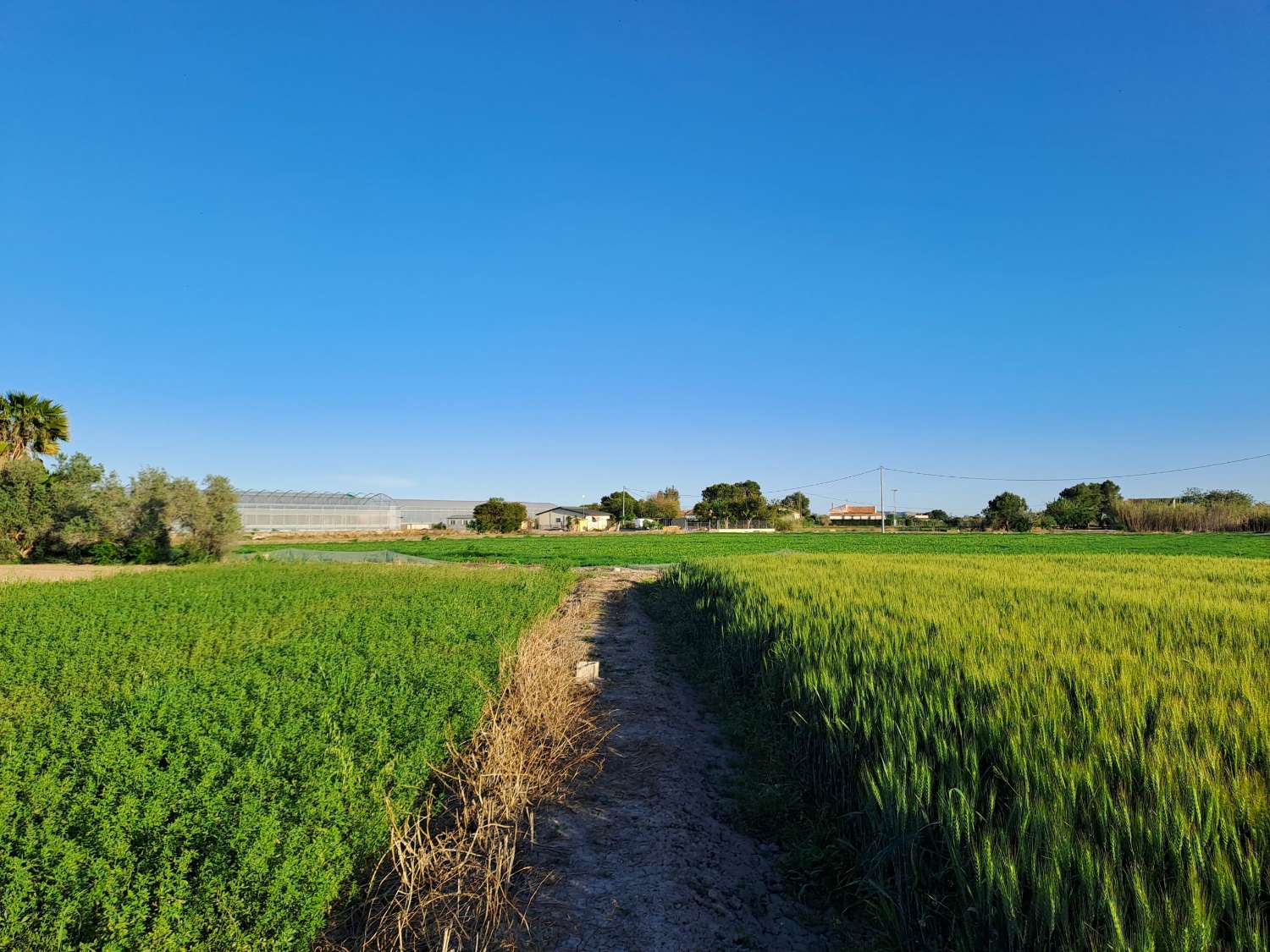 Beautiful Countryside Home with Guest Accommodation on a Private 1,500m² Plot