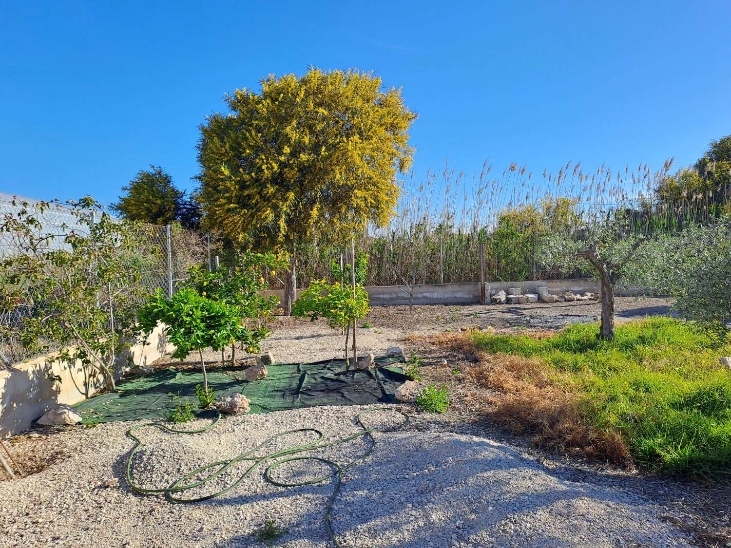 Beautiful Countryside Home with Guest Accommodation on a Private 1,500m² Plot