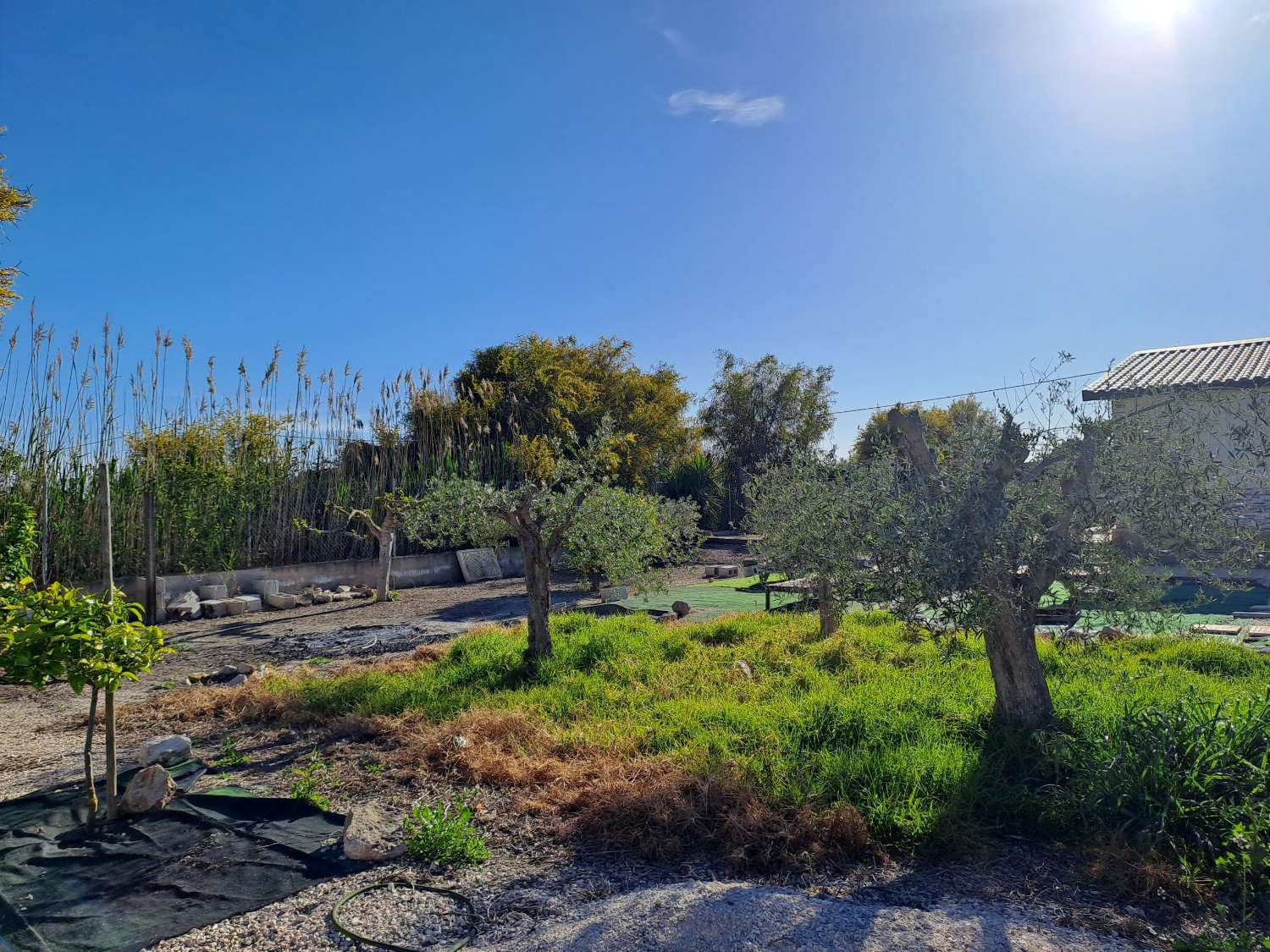 Beautiful Countryside Home with Guest Accommodation on a Private 1,500m² Plot