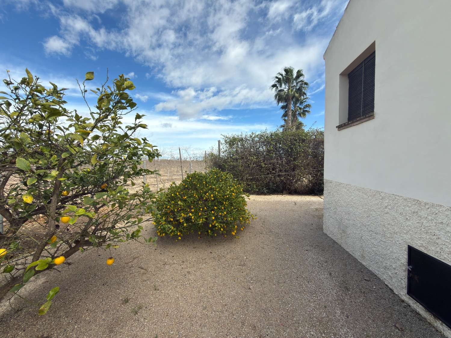 Beautiful Detached Country Villa with Private Pool, Walking Distance to Catral Town